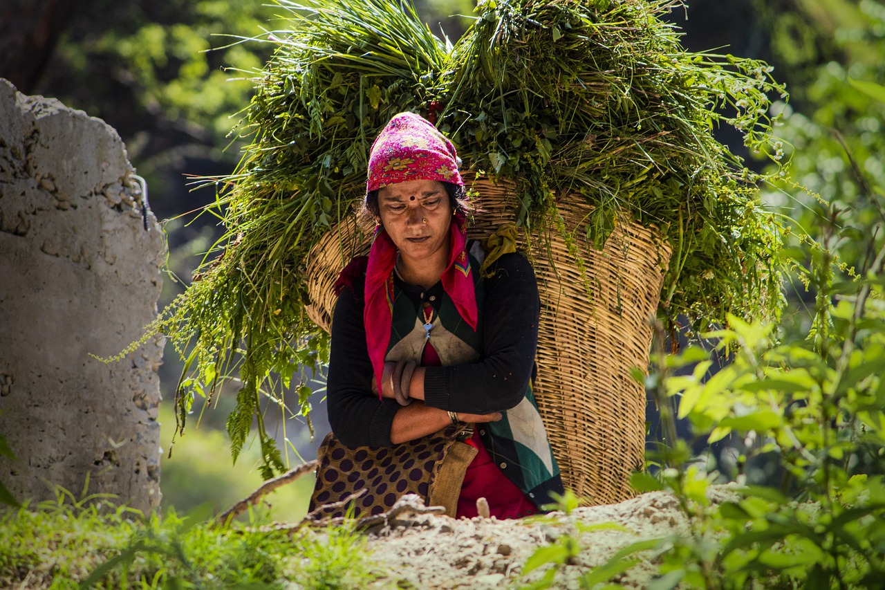 woman, empowered, farm-7155110.jpg