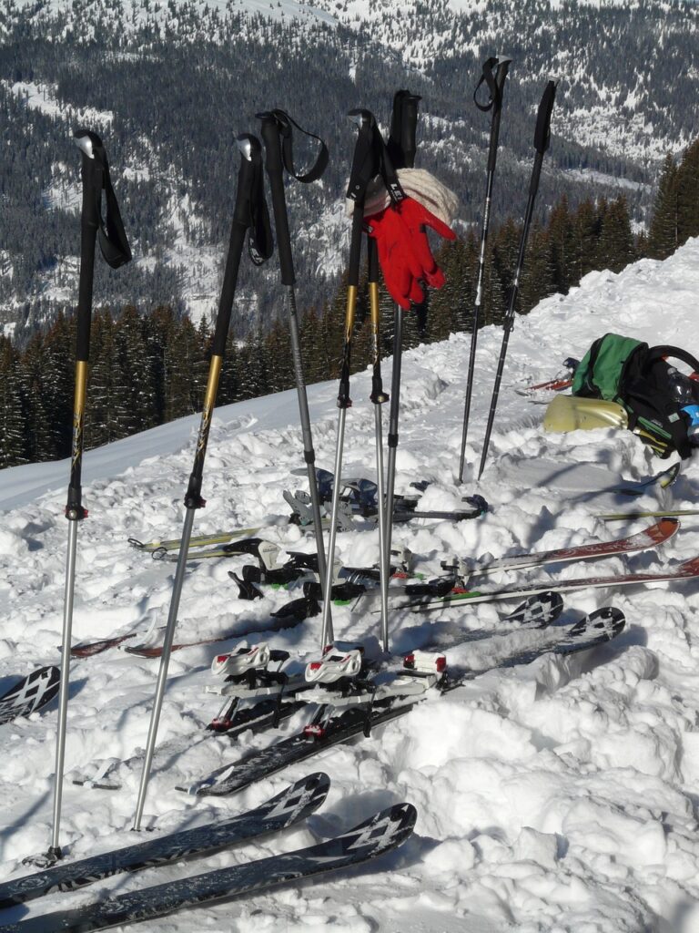 ski poles, sticks, ski-16188.jpg