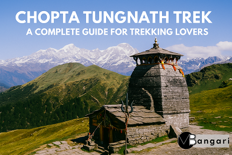 Chopta Tungnath Trek - A Complete Guide for Trekking Lovers