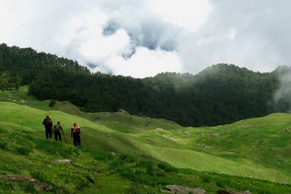 Gorson Bugyal – A Complete Guide to the Green Wonderland Near Auli