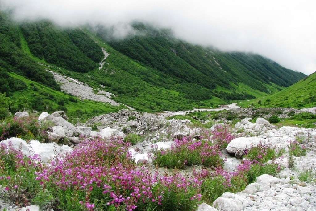 Valley of Flowers 2025 – Opening Date & How to Book