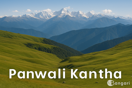 Panwali Kantha Trek – A Hidden Bugyal Trail