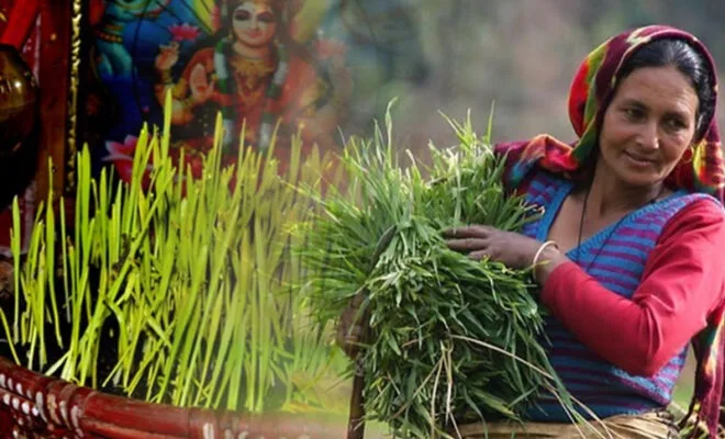 Harela Mela – A Festival of Green, Growth & Kumaoni Culture