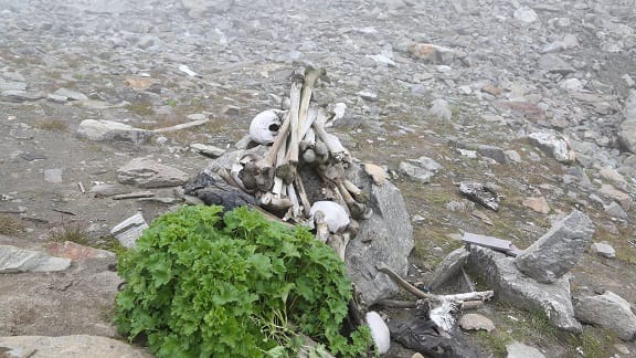 Remaining Skeleton in Roopkund