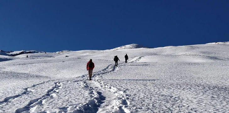Lord Curzon Trail – Kuari Pass Trek Guide, Routes, Best Season & History