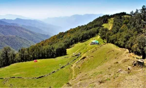 Nag Tibba Trek – A Complete Travel Guide for Beginners (Route, Itinerary, Cost & Tips)