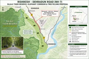 Why Tree Felling Near Rajaji Has Become a Major Concern
