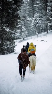 People on a snowy trek in the forest with horses, showcasing winter adventure.